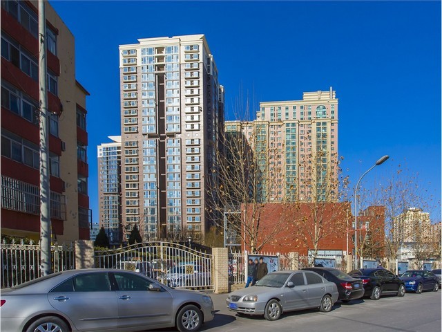 杨浦区商场绿植租赁价格